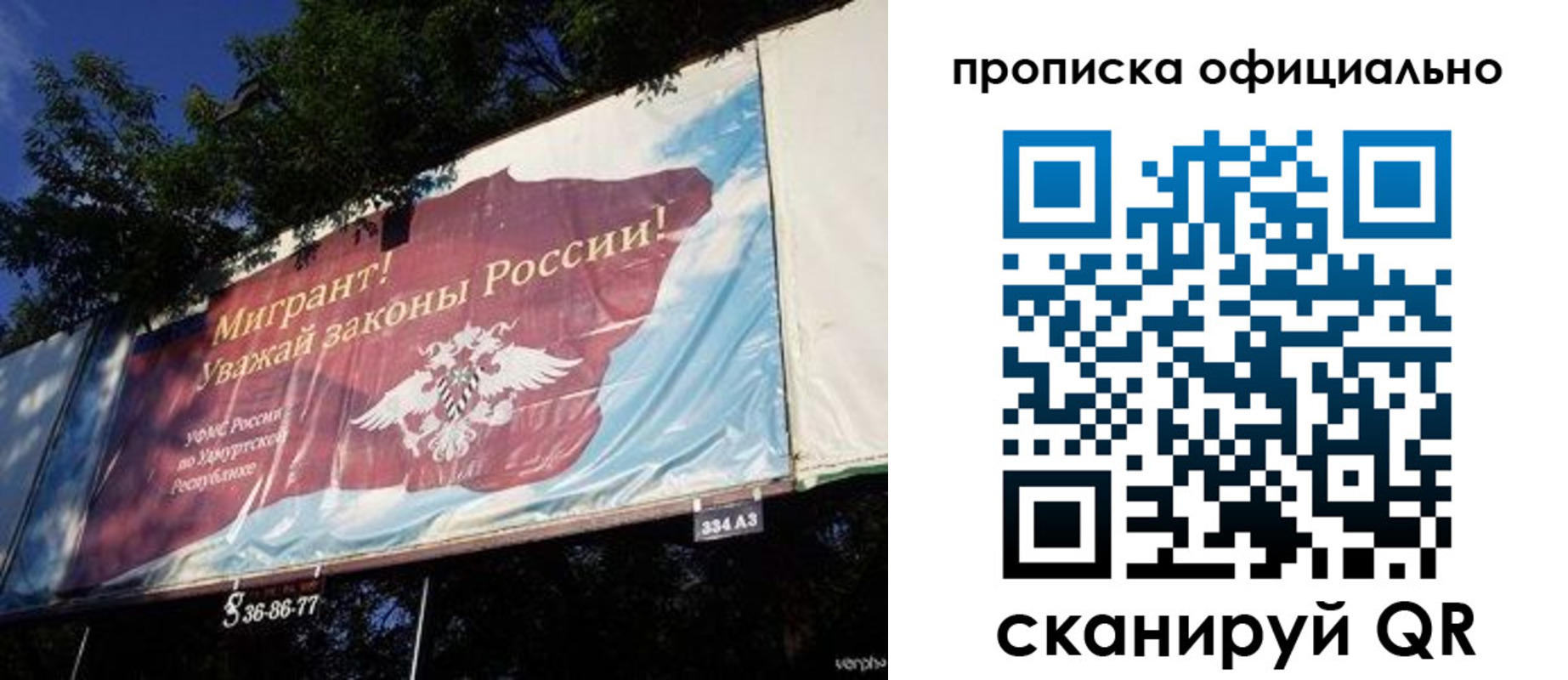 временная регистрация поиск в Псковской области